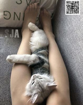 好女春华电视剧全集完整版观看_BD韩语最新电影在线观看
